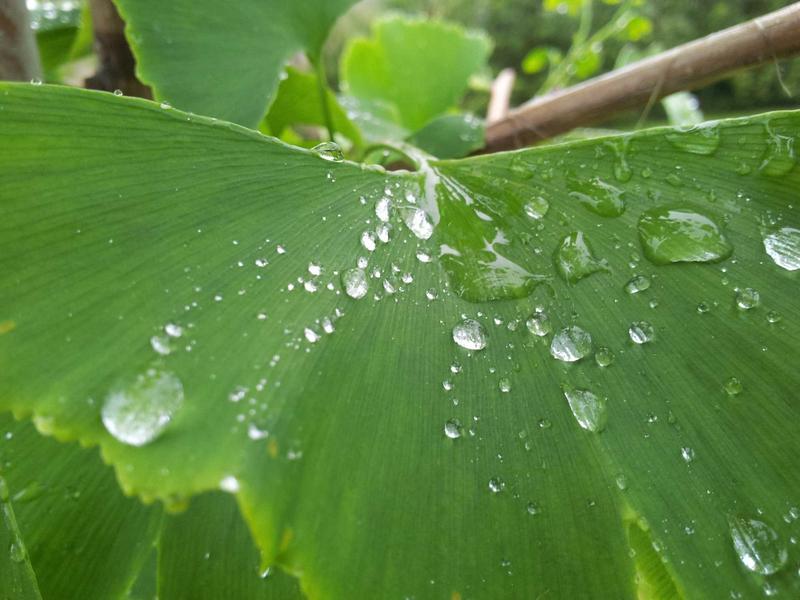 墨西哥亡灵节<br>qyf5seag.cn 万寿菊桥归途